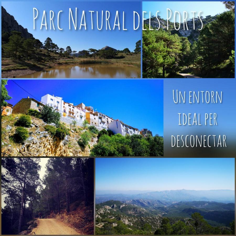 L'Antic Forn de Paüls Villa Dış mekan fotoğraf